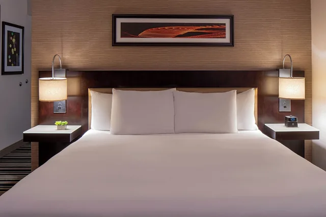 غرفة بسرير كينج لذوي الإعاقة، Hyatt Regency Indianapolis 3/9