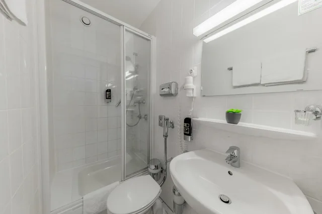 غرفة قياسية بسرير مزدوج، Hotel Royal 4/4