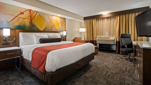 غرفة بسرير كينج لذوي الإعاقة، Holiday Inn Brookfield - Milwaukee 1/2