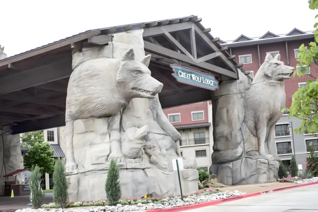 Suite, Cabin، Great Wolf Lodge Grapevine 1/1