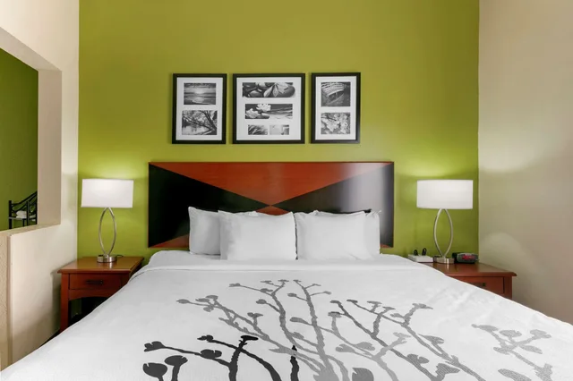 جناح بسرير كينج، Sleep Inn and Suites Montgomery East I-85 3/5