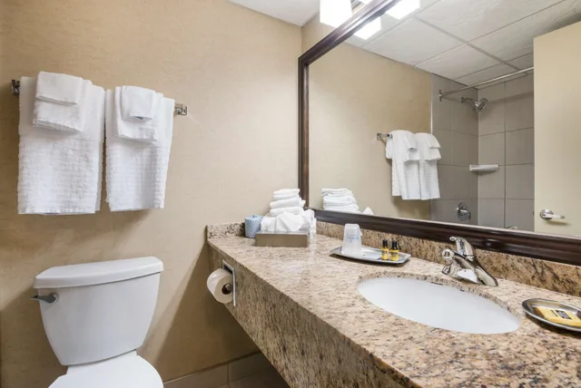Standard, 2 Double Beds, Best Western Plus Norwester Hotel and Conference Centre 7/8