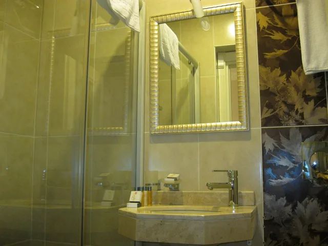 غرفة قياسية مفردة، Hotel Coliseum 3/8