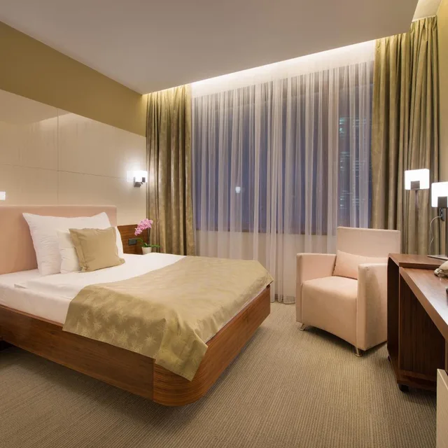 Superior, Single, Wellness Hotel Diamant (ex Relaxacni A Regeneracni Centrum) 1/7