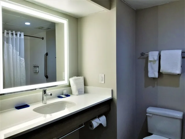 غرفة قياسية بسرير كينج، Holiday Inn Express Apex Raleigh 7/8