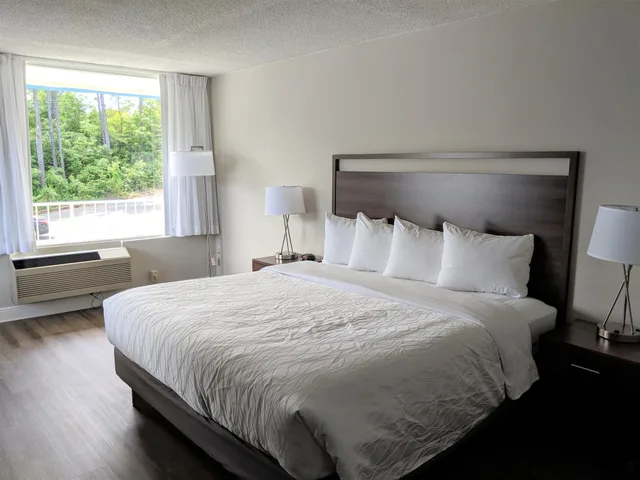 غرفة بسرير كينج بإطلالة على البحيرة، Lakefront Terrace Resort 1/3