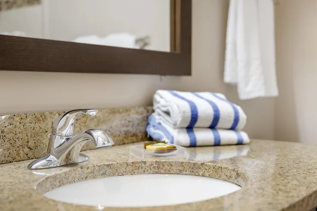 غرفة قياسية بسرير كينج، Best Western Plus Bridgewater 9/9