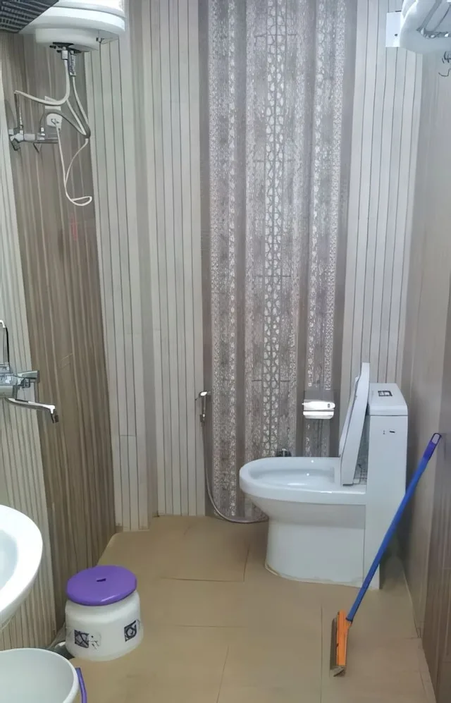 Semi Deluxe, Queen Bed، Hotel Green Palms 6/7