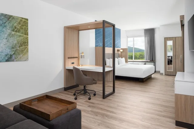 Studio, Multiple Beds, Accessible، Springhill Suites By Marriott Roanoke North 3/9