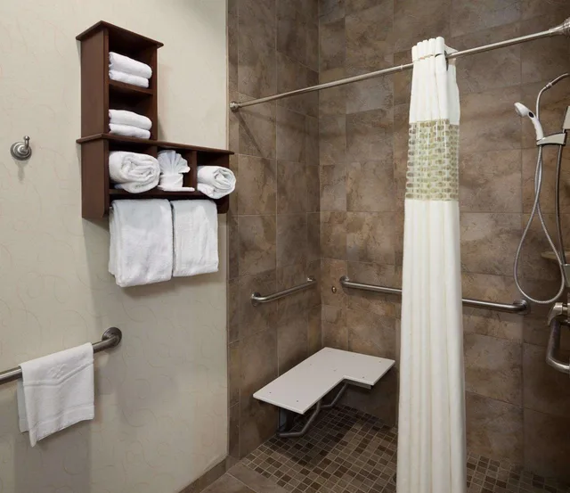 Suite, King Bed, Accessible, Hampton Inn Suites Dallas Arlington South 1/2