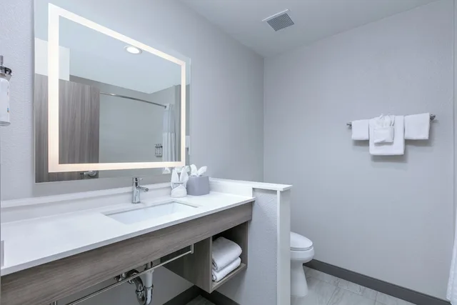 Room, King Bed, Extra Floor Space, Accessible، Holiday Inn Express & Suites - Dallas Plano North, an IHG Hotel 3/3