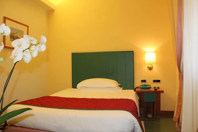 French, Single، Hotel Cristallo 1/3