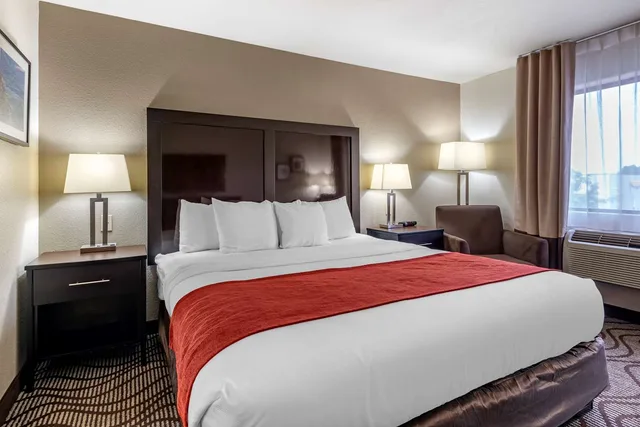غرفة بسرير كينج، Comfort Inn & Suites Fruita - Grand Junction 1/4