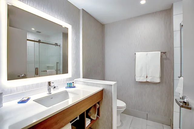 Standard, King Bed, Accessible, Holiday Inn Express Suites Calgary Airport Trail Ne 4/4