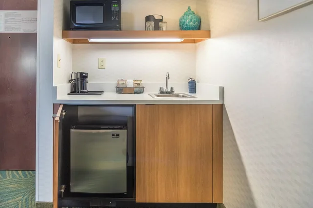 استوديو تنفيذي بسرير كينج، SPRINGHILL SUITES BY MARRIOTT CHICAGO ELMHURST/OAKBROOK AREA 1/3