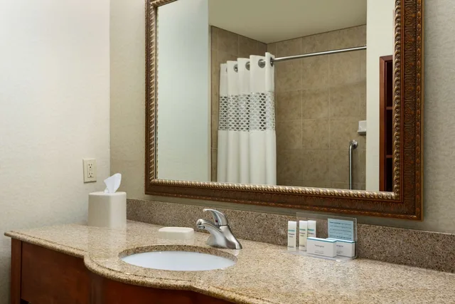 Studio, Suite, King Bed, Sofa, Accessible, Hampton Inn & Suites Pharr, TX 7/10
