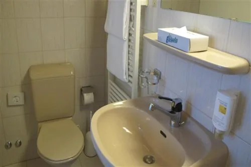 Room, Single, Double Bed, Hotel Alpina Luzern 3/4