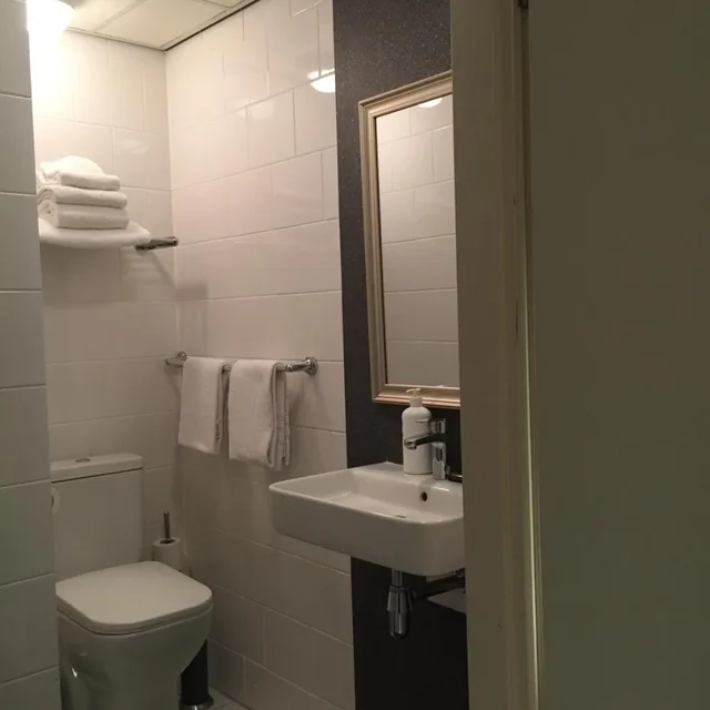 غرفة ديلوكس بسرير مزدوج أو سريرين منفصلين، France Hotel Amsterdam 5/6