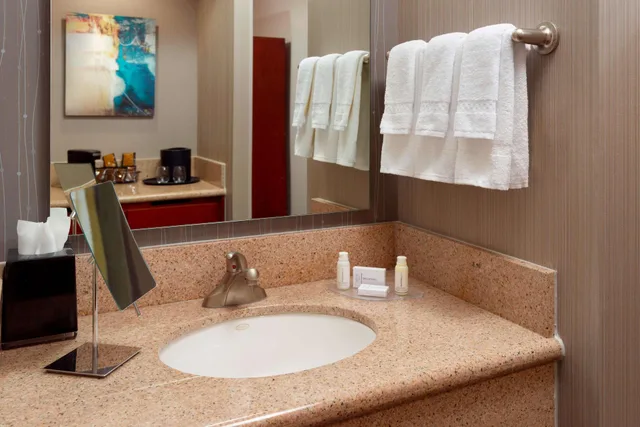 غرفة بسرير كينج لذوي الإعاقة، Sonesta Select Atlanta Midtown Georgia Tech 10/10