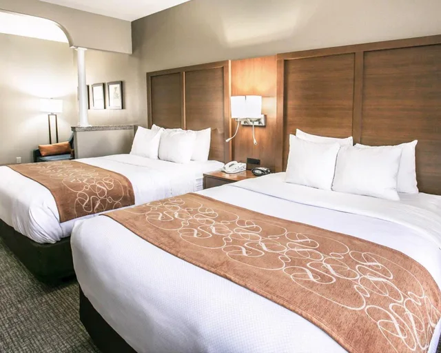 جناح بسرير كينج مع أريكة، Comfort Suites Houston NW - Vintage Park 2/7