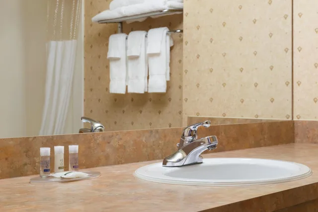 جناح سوبيريور بسرير كينج، Days Inn and Suites by Wyndham Brooks 2/6