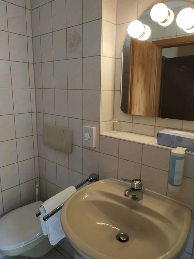 Retro, Compact, Single, Single Bed, No Balcony، Hotel Waldblick 10/10