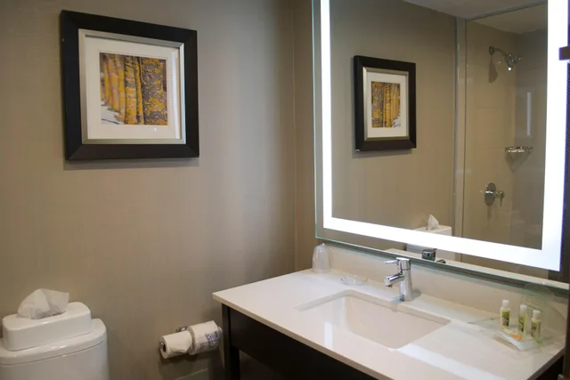 غرفة بريميوم بسرير كينج، HOLIDAY INN SUDBURY 5/5