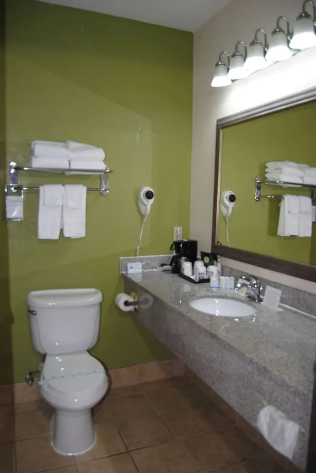 جناح بسرير كينج مع أريكة، Sleep Inn and Suites Montgomery East I-85 4/5