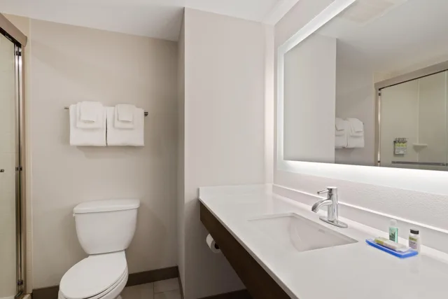 غرفة قياسية بسرير مزدوج، Holiday Inn Express Hotel & Suites Largo-Clearwater 2/2