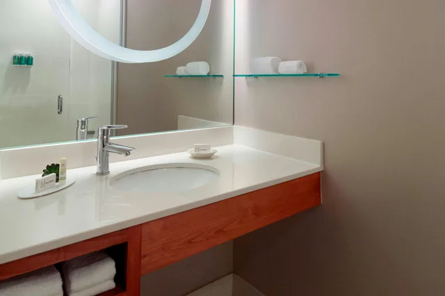 جناح، SpringHill Suites by Marriott Atlanta Airport Gateway 1/4
