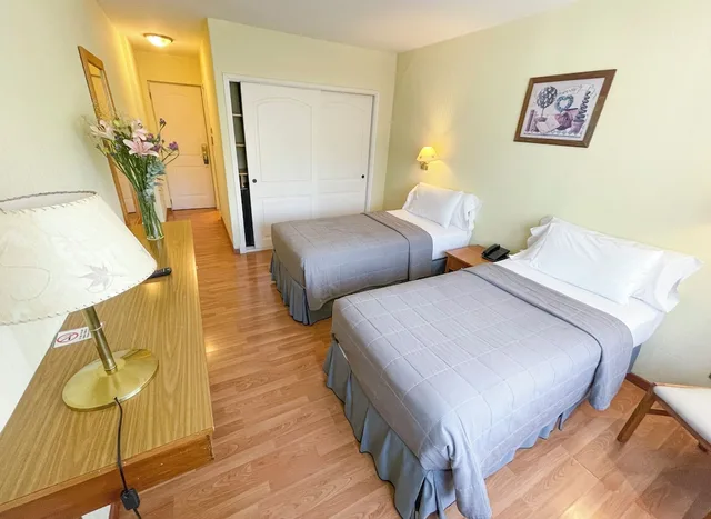 Doble Standard, Double or Twin Beds، Hotel Nahuel Huapi 1/10