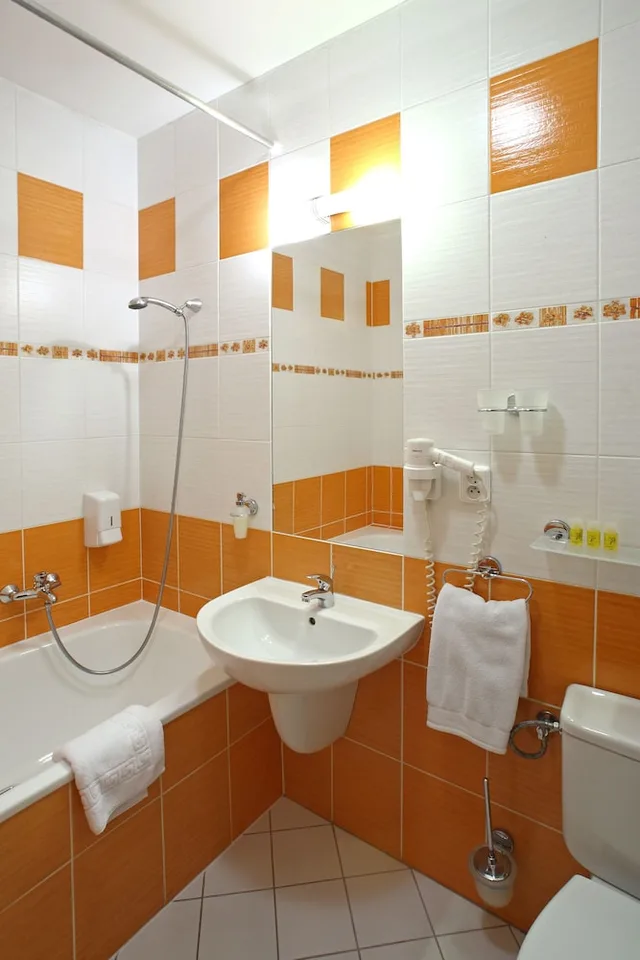 غرفة سوبيريور بسريرين منفصلين، Hotel Palace 5/5