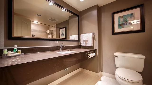 Suite, King Bed, Jetted Tub, Best Western Plus The Arden Park Hotel 2/3