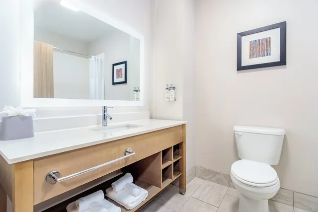 غرفة قياسية بسرير كينج مع أريكة، Holiday Inn Express & Suites Memphis Arpt Elvis Presley Blv 4/5