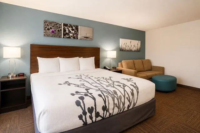 غرفة قياسية بسرير كينج، Sleep Inn & Suites Houston Westchase - Little Saigon 4/10