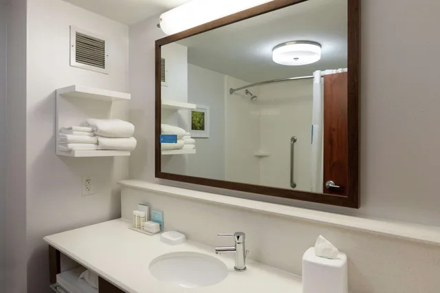 جناح بسرير كينج لذوي الإعاقة، Hampton Inn Houston/Humble-Airport Area 4/4