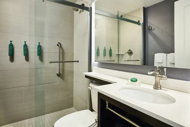 غرفة ديلوكس بسرير كينج، Hotel Alex Johnson Rapid City Curio Collection By Hilton 4/4