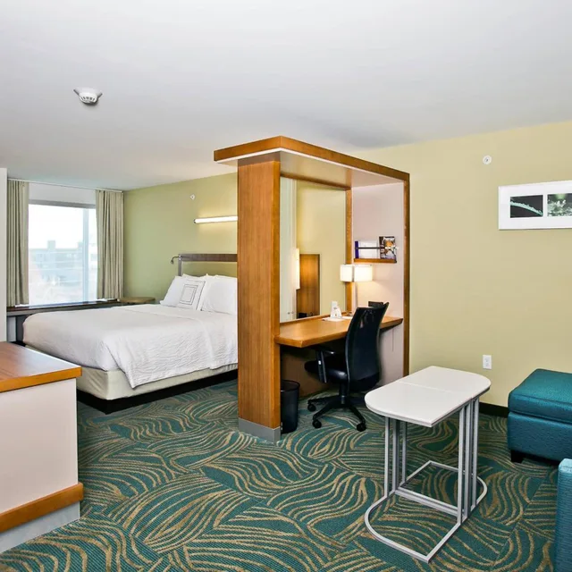 Studio, King Bed, Springhill Suites Mobile 7/7