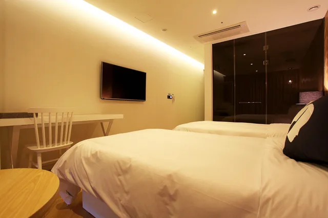 غرفة سوبيريور بسريرين منفصلين بإطلالة على المدينة، Hotel The Designers LYJ Gangnam Premier 2/2
