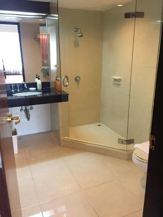 جناح جونيور بسريرين مزدوجين، Indra Regent Hotel 5/5