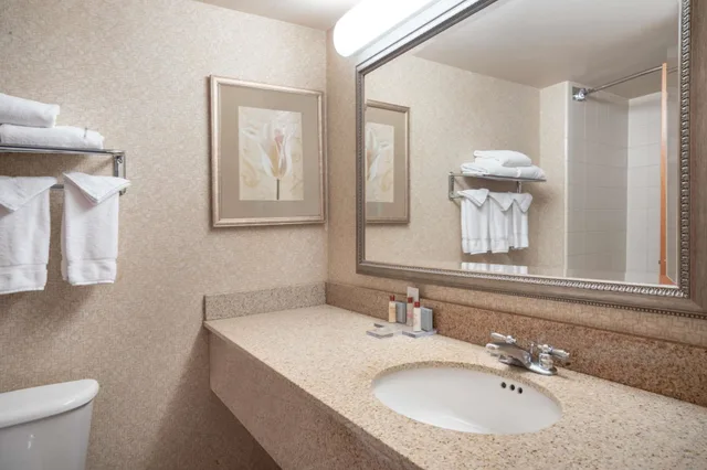 Room, King Bed, Large, Wingate By Wyndham Charlotte Airport 3/6