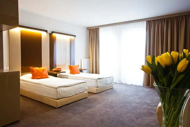 غرفة ديلوكس مفردة، PLATINUM PALACE APARTMENTS 3/7