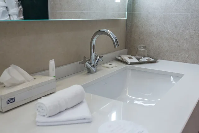 Swiss, Premier, King Bed، Swissotel Sarajevo 4/4