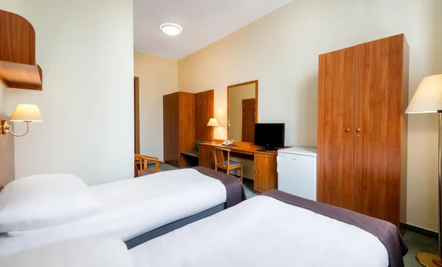 غرفة قياسية بسرير مزدوج أو سريرين منفصلين، Hotel Millennium 1/1