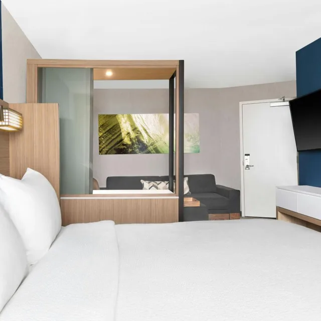 Suite, King Bed, Trundle Bed, Sofa, SpringHill Suites by Marriott Holland 1/5