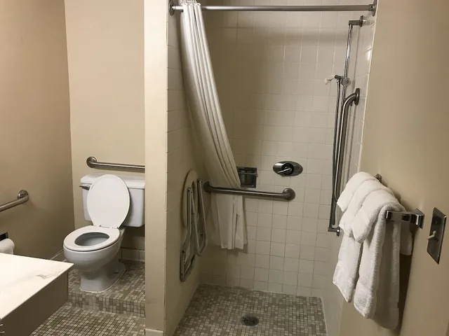 Room, Queen Bed, Accessible, Albert Lea Inn & Suites 7/7