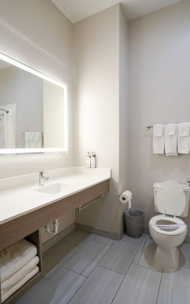 غرفة قياسية بسرير كينج، Holiday Inn Express Hotel And Suites Cedar Hill 6/9