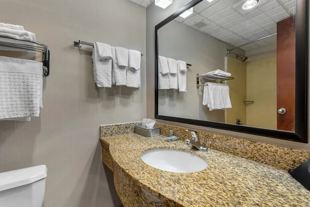 غرفة قياسية بسرير كينج يُسمح فيها بالحيوانات الأليفة، Best Western Hunt's Landing Hotel Matamoras/Milford 2/2