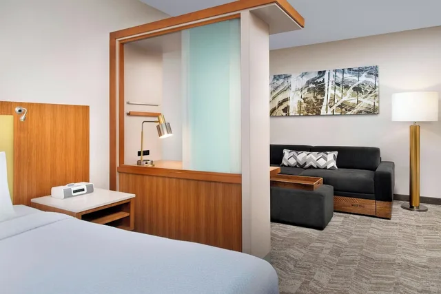 جناح بسرير كينج مع سرير سحّاب إضافي لذوي الإعاقة، Springhill Suites By Marriott Potomac Mills Woodbridge 1/3