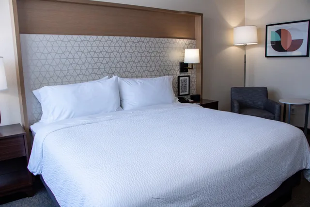 غرفة بسرير كينج، Holiday Inn Metairie New Orleans Airport 2/5
